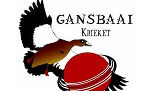 Krieketnuus (5 Feb 2015)